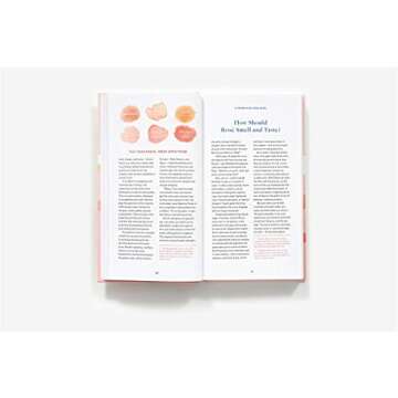 Rosé All Day: Your Guide to Wine's Finest Varieties