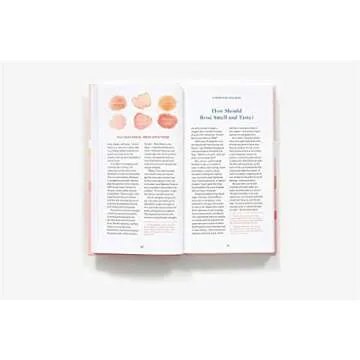 Rosé All Day: Your Guide to Wine's Finest Varieties