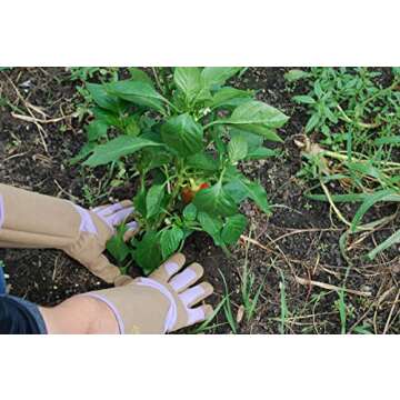 MAGID HandMaster Professional Rose Pruning Gloves, 1 Pair, Size 9/Large, BE195T