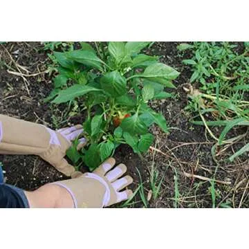 MAGID HandMaster Professional Rose Pruning Gloves, 1 Pair, Size 9/Large, BE195T