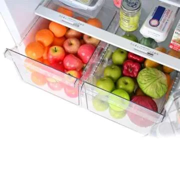 Kenmore Stylish 20.5 cu. ft. Full-Size Refrigerator