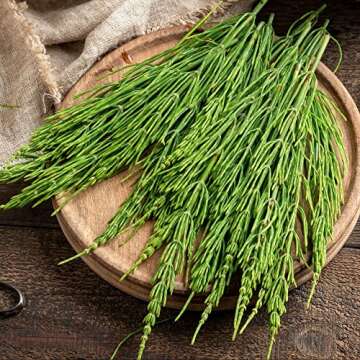 Frontier Co-op Organic Cut & Sifted Horsetail Herb 1lb - Natural Wellness