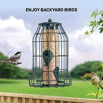 Squirrel Resistant Bird Feeders 22 oz. Bird Feeder with 4 Perches for Small Backyard Birds ONLY. Bir...