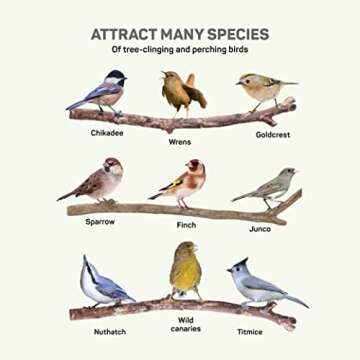 Squirrel Resistant Bird Feeders 22 oz. Bird Feeder with 4 Perches for Small Backyard Birds ONLY. Bird Feeder Squirrel Proof/Chew Proof/Rustproof. Fill with Wild Bird Seed for Outside Feeders