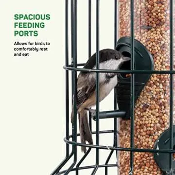 Squirrel Resistant Bird Feeders 22 oz. Bird Feeder with 4 Perches for Small Backyard Birds ONLY. Bird Feeder Squirrel Proof/Chew Proof/Rustproof. Fill with Wild Bird Seed for Outside Feeders