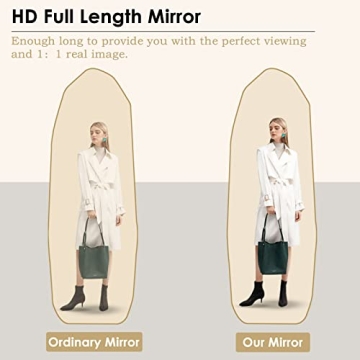 HARRITPURE 64" Full Body Irregular Mirror for Home Decor