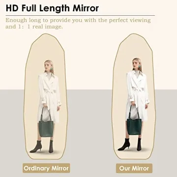 HARRITPURE 64" Full Body Irregular Mirror for Home Decor