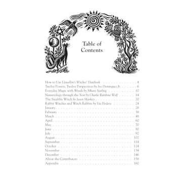 Llewellyn's 2025 Witches Datebook for Special Moments