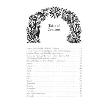 Llewellyn's 2025 Witches Datebook for Special Moments