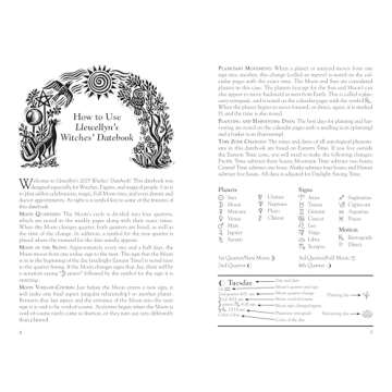 Llewellyn's 2025 Witches Datebook for Special Moments