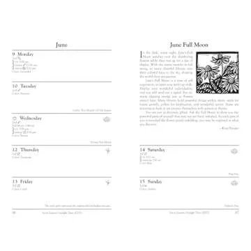 Llewellyn's 2025 Witches Datebook for Special Moments