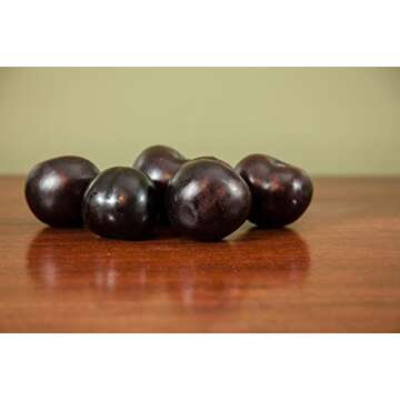 PERFECT PLANTS Methley Plum Live Plant, 4-5', Includes Care Guide