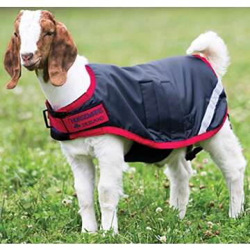 Horseware Ireland Breathable Waterproof Windproof Cold Weather Adjustable Goat Coat (100g Fill), Nav...