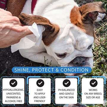 Tetesol 200 Count Dog Wipes for Easy Pet Cleaning