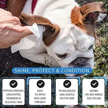 Tetesol 200 Count Dog Wipes for Easy Pet Cleaning