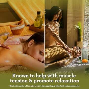 GuruNanda Lemongrass Essential Oil (Pack of 2 x 0.5 Fl Oz) - 100% Pure, Premium Therapeutic Grade Oil for Cleansing and Rejuvenation, Aromatherapy for Hair and Face Care, Fresh Citrus Scent