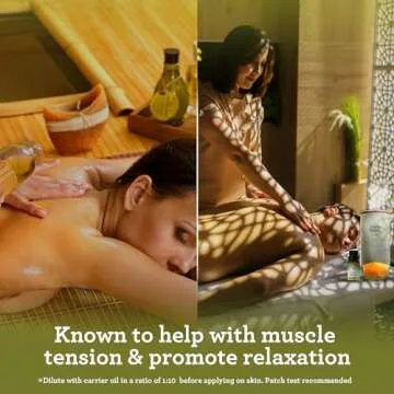 GuruNanda Lemongrass Essential Oil (Pack of 2 x 0.5 Fl Oz) - 100% Pure, Premium Therapeutic Grade Oil for Cleansing and Rejuvenation, Aromatherapy for Hair and Face Care, Fresh Citrus Scent