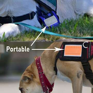 Double Sided Flea Comb for Cats and Dogs - MoHern