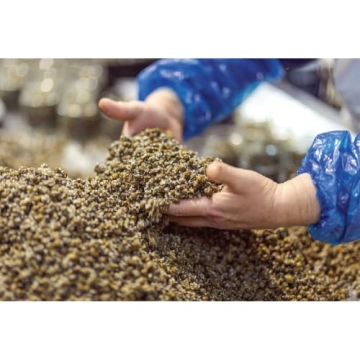 Gourmet Sicilian Capers in Sea Salt 1.1lb from Italy