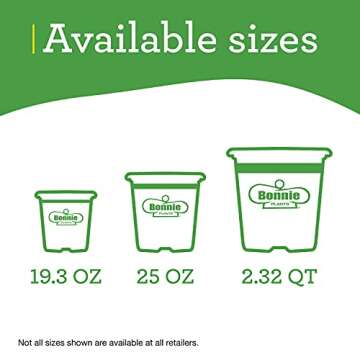 Cilantro Herb Plants 4 Pack for Culinary Enthusiasts