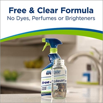 Bissell Woolite Free & Clear Pet Stain Remover 22oz Pack