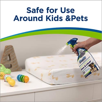 Bissell Woolite Free & Clear Pet Stain Remover 22oz Pack