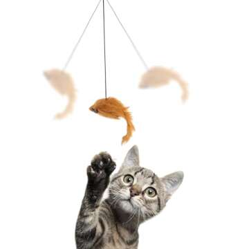 SPOT A-Door-Able Bouncing Mouse Cat Toy - Interactive Catnip Toy for Active Play