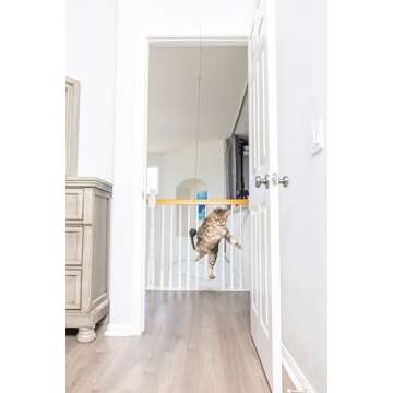 SPOT A-Door-Able Bouncing Mouse Cat Toy for Hours of Fun