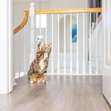 SPOT A-Door-Able Bouncing Mouse Cat Toy for Hours of Fun