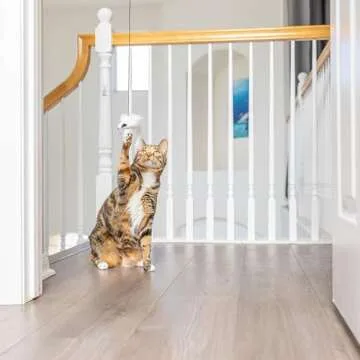 SPOT A-Door-Able Bouncing Mouse Cat Toy for Hours of Fun