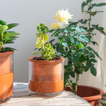 Phoenix Vine 4 Inch Self Watering Plants Pot, Design Terracotta Pot for Plants, Indoor Cylinder Terr...