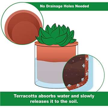 Elegant Self-Watering Terracotta Pot for Indoors