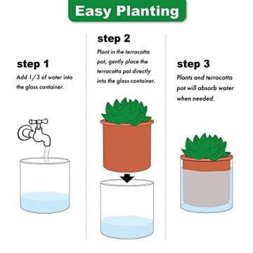 Elegant Self-Watering Terracotta Pot for Indoors