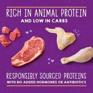 Stella & Chewy’s Carnivore Cravings Savory Shreds Cans – Grain Free, Protein Rich Wet Cat Food – Cage-Free Chicken & Grass-Fed Beef Recipe – (2.8 Ounce Cans, Case of 12)