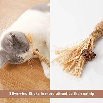 PAZ'S GIFT Natural Cat Chew Toy Sticks for Dental Care