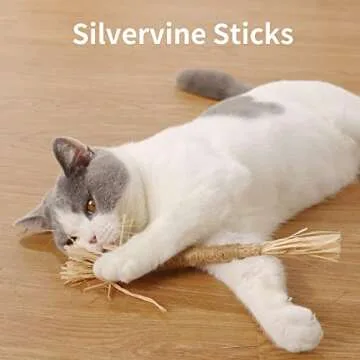 PAZ'S GIFT Natural Cat Chew Toy Sticks for Dental Care