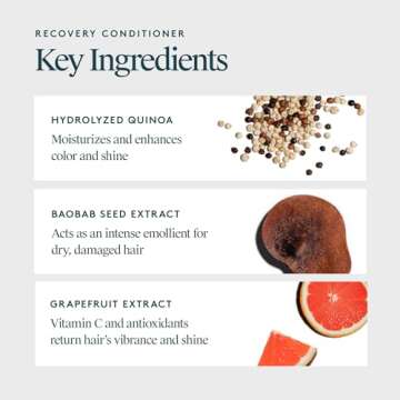 VIRTUE Recovery Conditioner with Keratin Hydrates, Softens, and Renews Damaged Hair, Sulfate Free, Color Safe