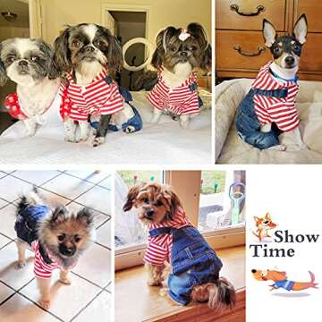 SILD Pet Denim Jumpsuit For Small Medium Dogs Stylish Wear