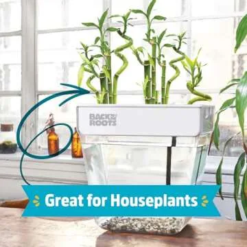Back to the Roots Indoor Aquaponic Garden - 3 Gallon Self Watering, Mess-Free Planter and Self-Cleaning Fishtank for Herbs, Microgreens, Bamboo, Succulents, and Houseplants, support Fish