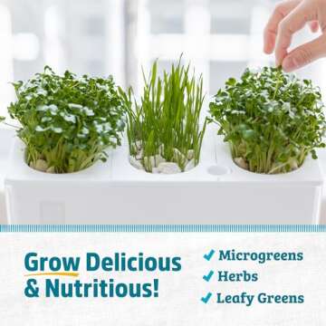 Back to the Roots Indoor Aquaponic Garden - 3 Gallon Self Watering, Mess-Free Planter and Self-Cleaning Fishtank for Herbs, Microgreens, Bamboo, Succulents, and Houseplants, support Fish