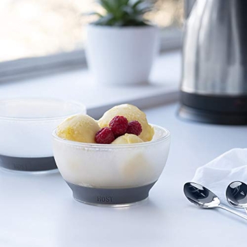 Host Freeze Ice Cream Bowls 18oz BPA-Free Double Walled