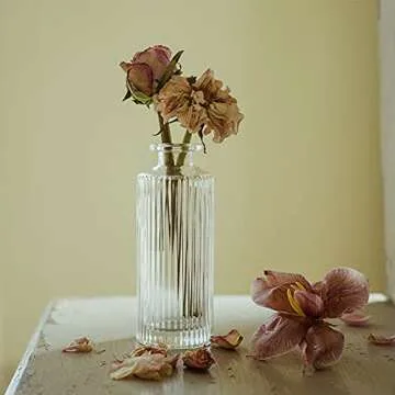 Set of 2 Small Glass Vase for Centerpieces,Embossed Glass Bud Vase Hydroponic Vase,Mini Table Vase Clear Flower Vase Decorative for Wedding Farmhouse Party Home Decor(Clear 2)