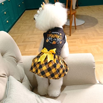 CuteBone Dog Velvet Dress Costume for Thanksgiving