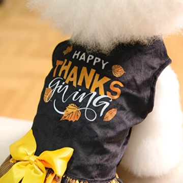 CuteBone Dog Velvet Dress Costume for Thanksgiving