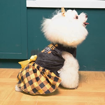 CuteBone Dog Velvet Dress Costume for Thanksgiving