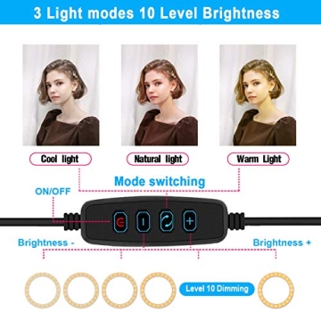 8 Inch Selfie Ring Light Tripod for Streamers and Vloggers