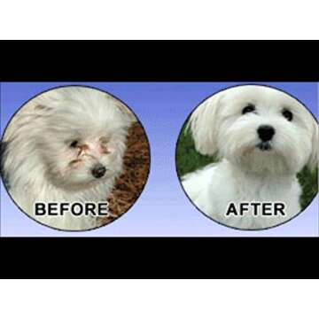 ANGELS' EYES Natural Tear Stain Prevention Sweet Potato Powder for Dogs | All Breeds | No Wheat No C...