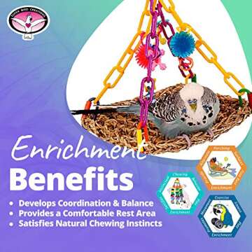 Super Bird Creations SB747 Mini Flying Trapeze Bird Toy, Small Bird Size, 6” x 7” x 9”