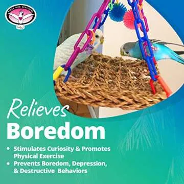 Super Bird Creations SB747 Mini Flying Trapeze Bird Toy, Small Bird Size, 6” x 7” x 9”