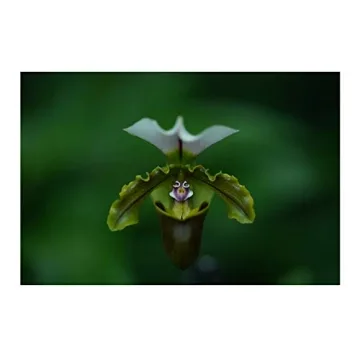 Sony 135mm F1.8 G Master Lens for Sony E-Mount